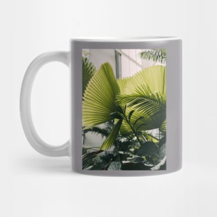 Beautiful Tropical Plant Mug